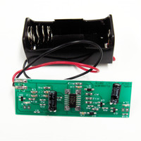 Dual Flashing LED Module